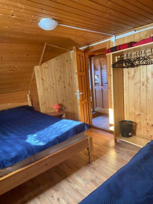 Cabana Cerbul De Aur Sub Cetate Buitenkant foto