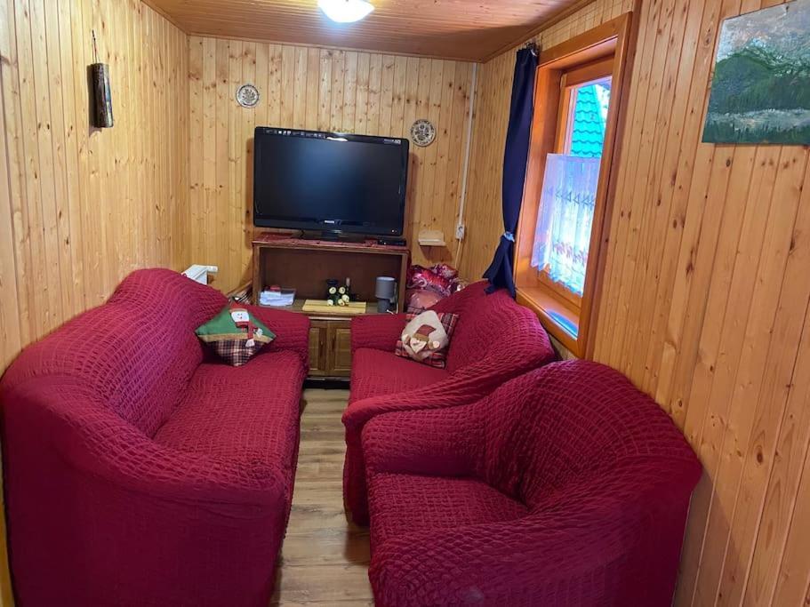 Cabana Cerbul De Aur Sub Cetate Buitenkant foto
